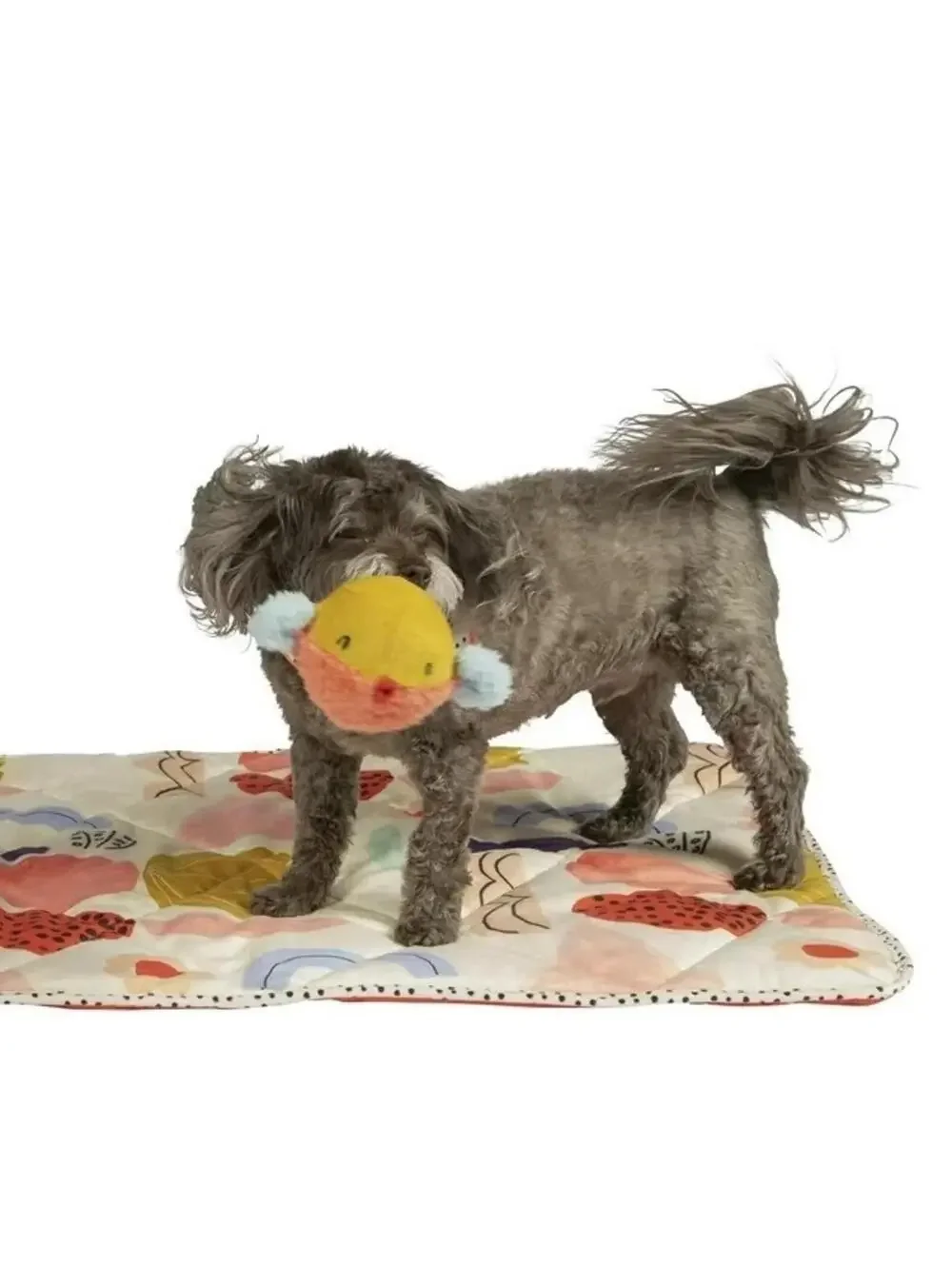 Manhattan Pet Toy Oddball Bertie Fish Plush Covered Squeaker Dog Exercise Ball